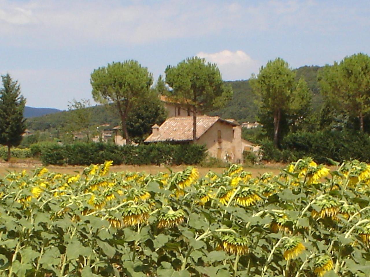 Gasthaus Casale Il Colombaio Di Toiano Valli Exterior foto